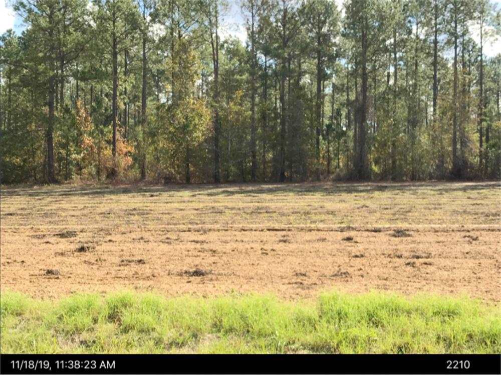 150 West Chicken Road Dudley, GA 31022 - Photo 1 of 1