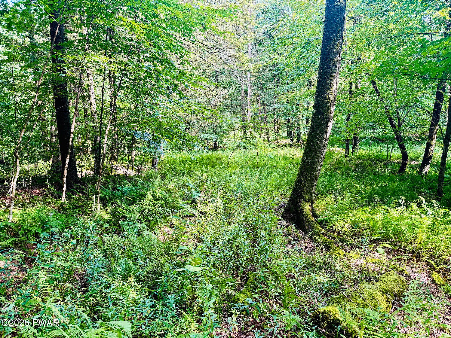 0 Callicoon Road Damascus, PA 18415 - Photo 12 of 31 Gallery Image 12
