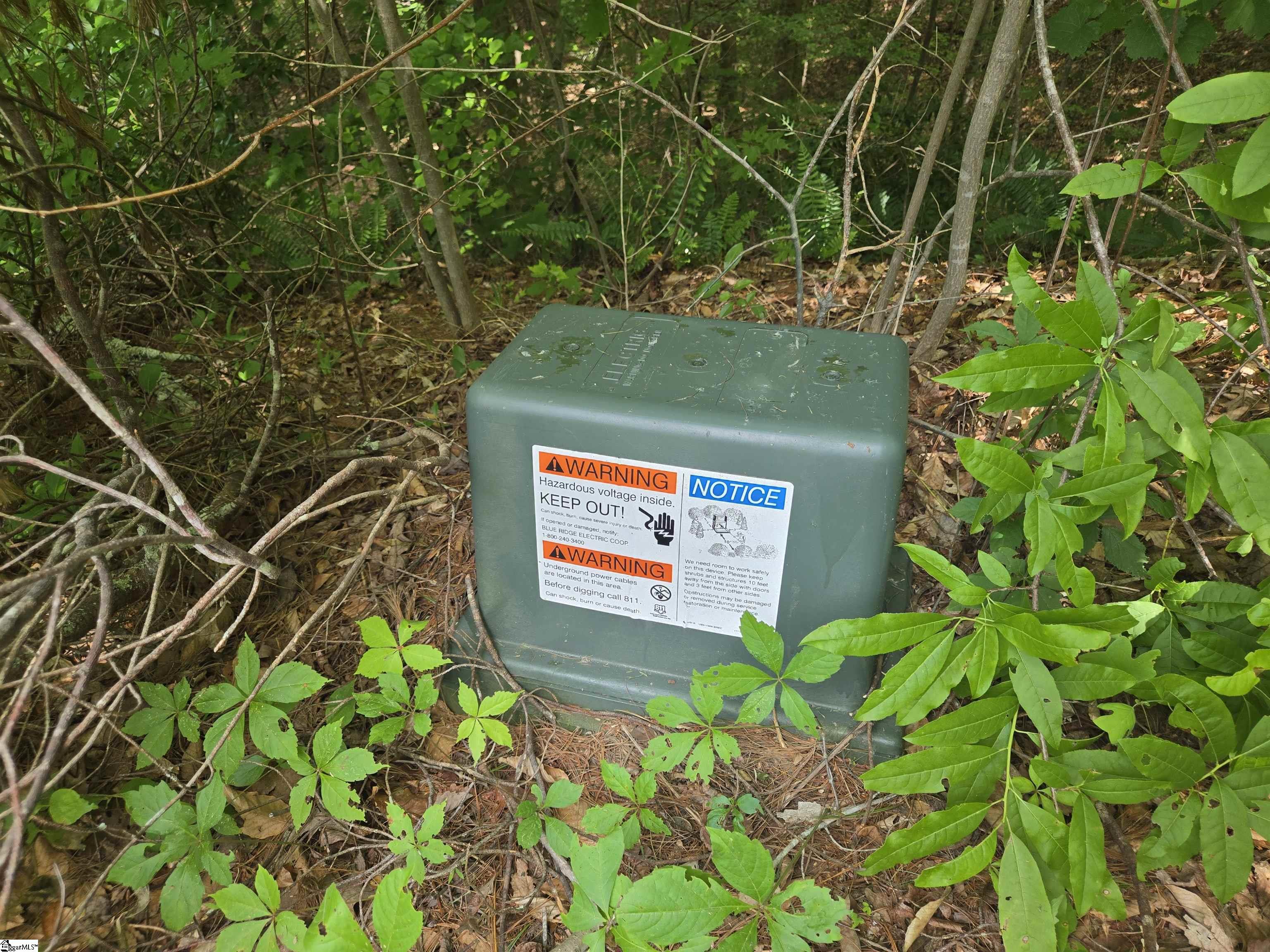 109 Bernhardt Way Pickens, SC 29671 - Photo 4 of 10