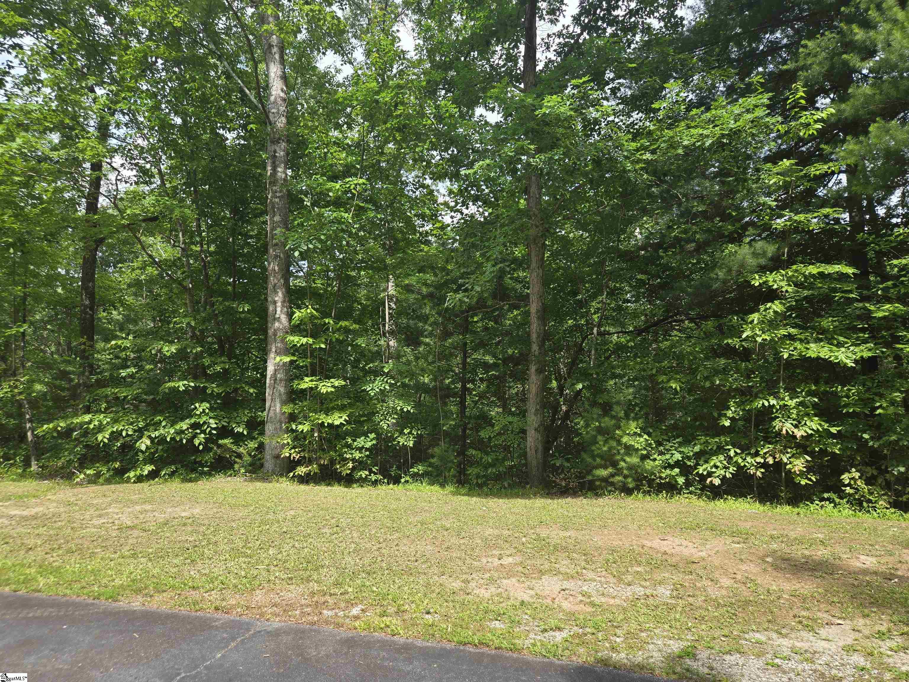 109 Bernhardt Way Pickens, SC 29671 - Photo 8 of 10