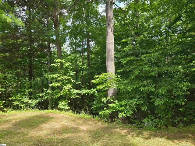 $28,000 | 109 Bernhardt Way, Pickens, SC 29671