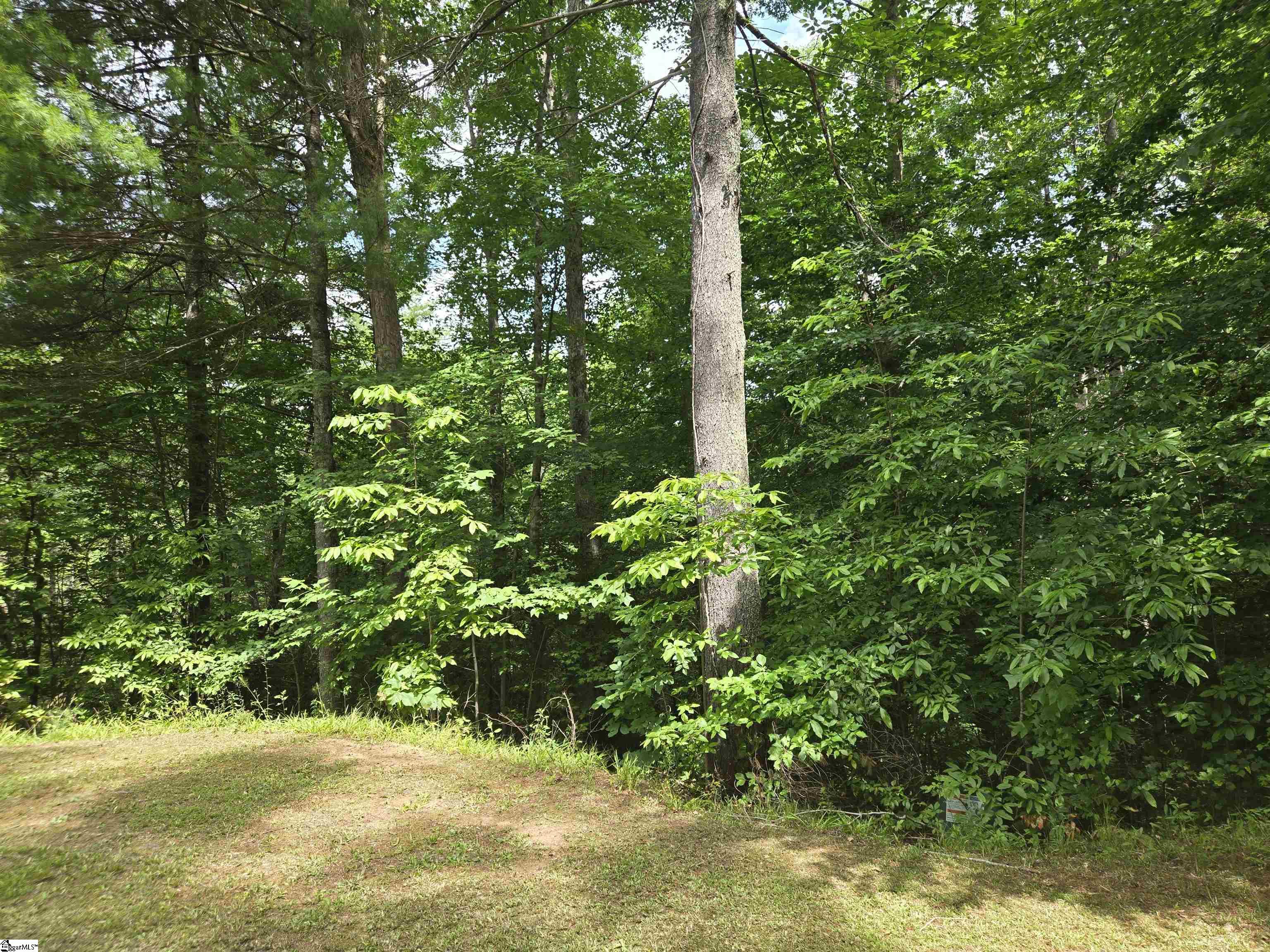 109 Bernhardt Way Pickens, SC 29671 - Photo 9 of 10