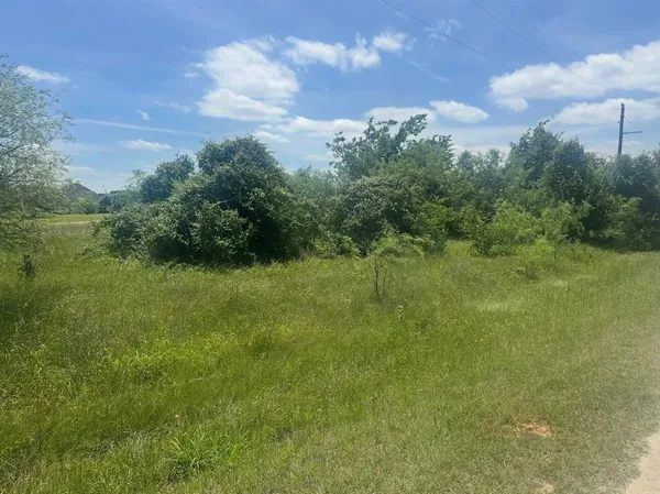 a view of a field of grass and trees