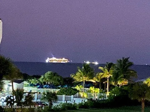 a view of a garden with a tree in the background