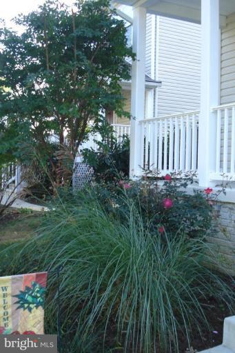 3628 Edgemont Street Edgewater, MD 21037 - Photo 11 of 25 Garden #2
