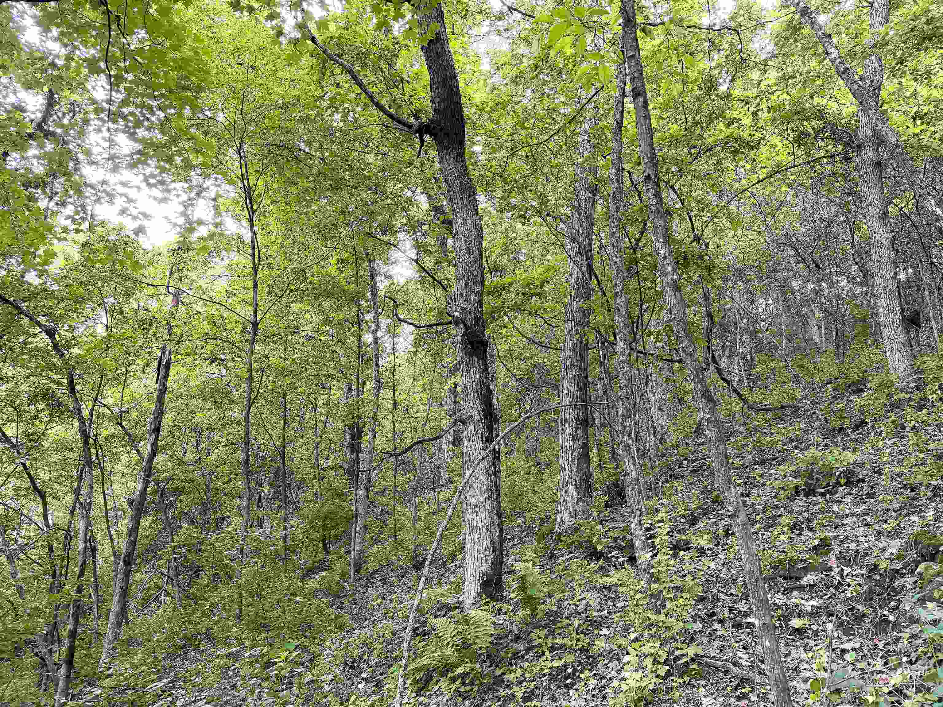 10370 Prestegard Road Soldiers Grove, WI 54655 - Photo 11 of 18