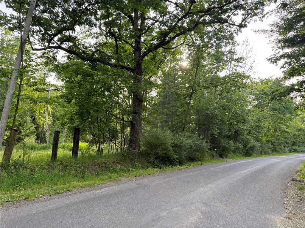 Hill Road Fillmore, NY 14735 - Photo 1 of 5
