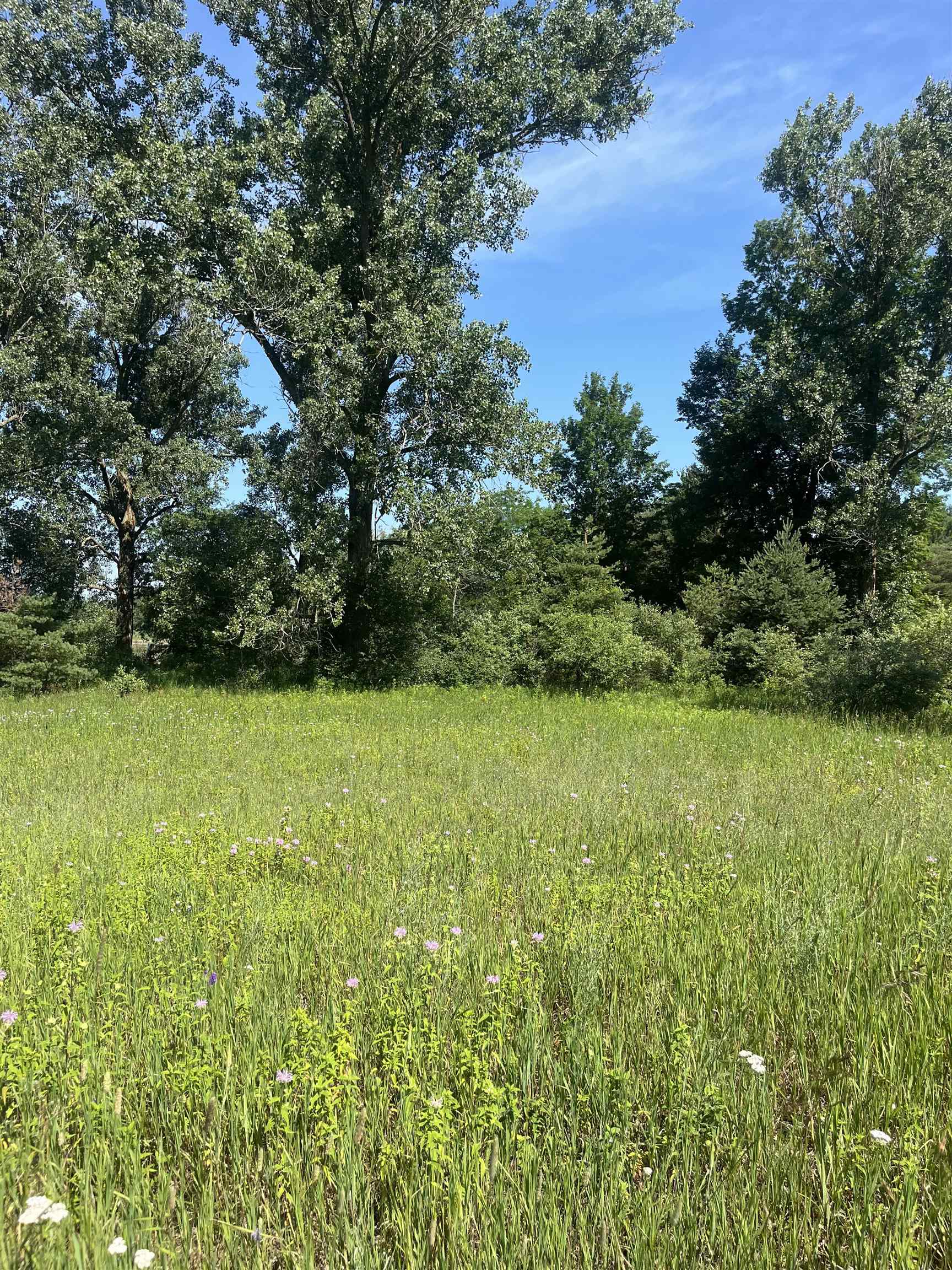 Packingham Road Manton, MI 49663 - Photo 20 of 25