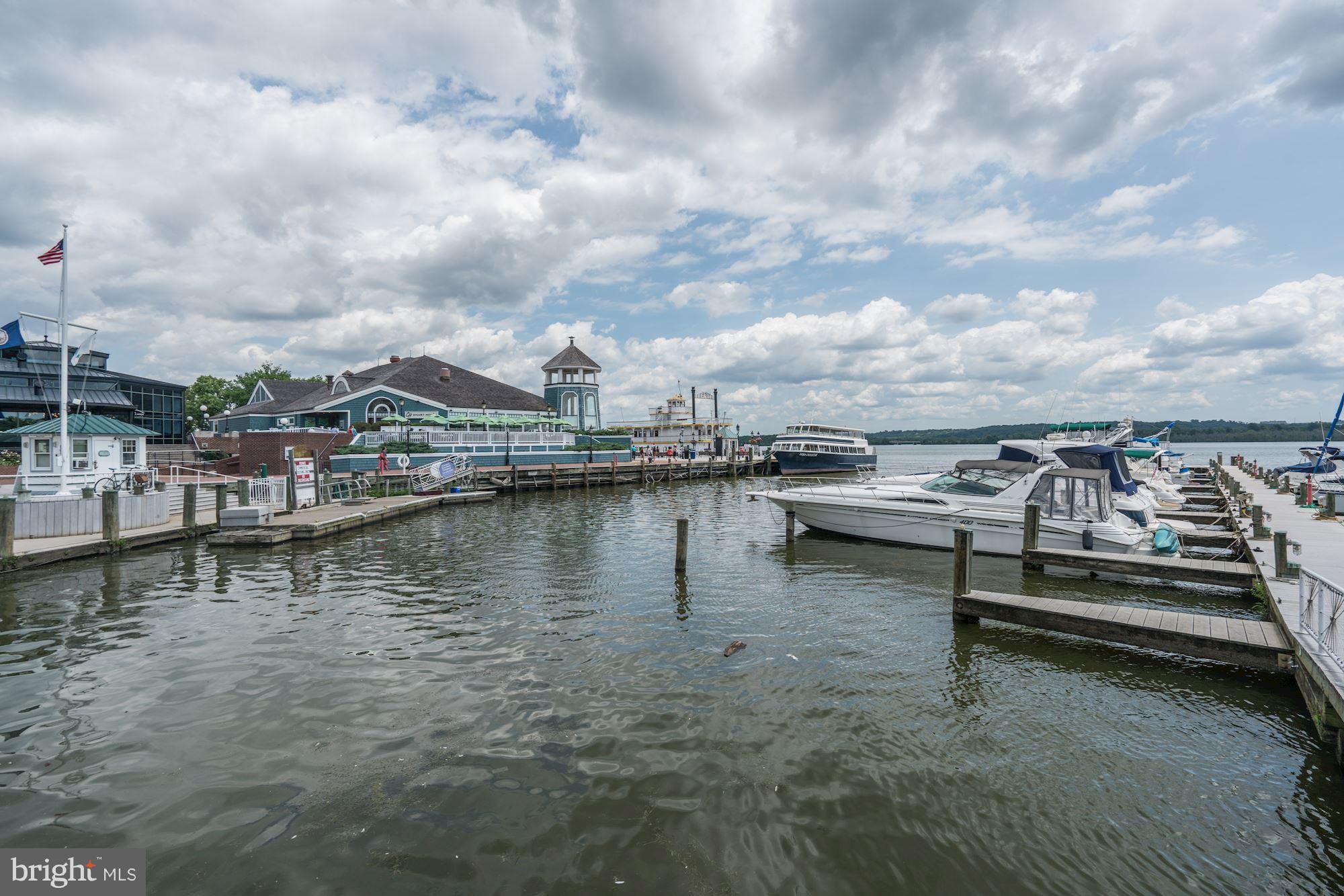 1221 Portner Road Alexandria, VA 22314 - Photo 28 of 30 a view of a lake with boats in it