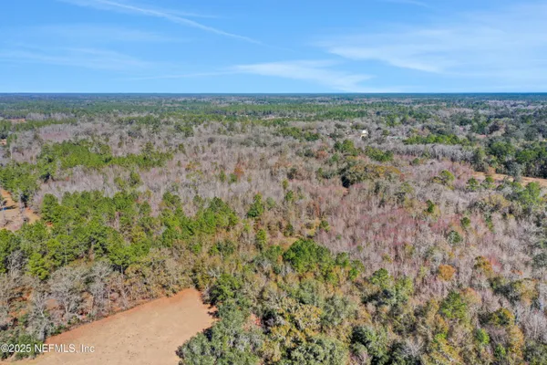 a view of a dry yard with trees