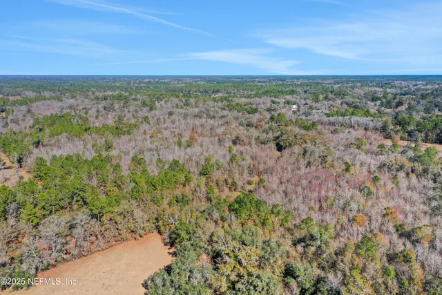 a view of a dry yard with trees