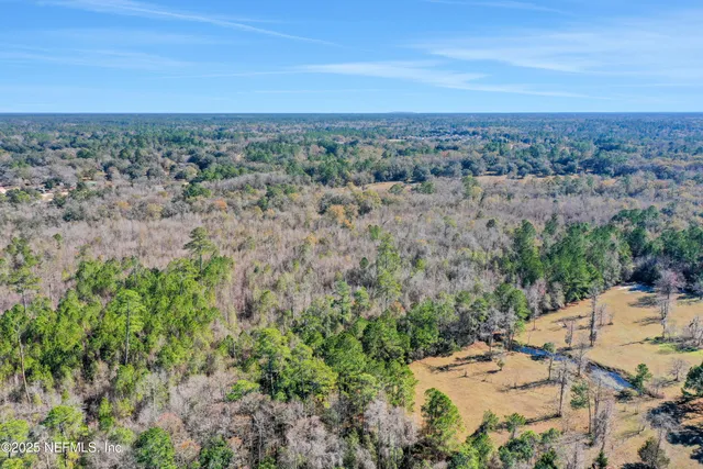 an aerial view of residential houses with outdoor space and trees