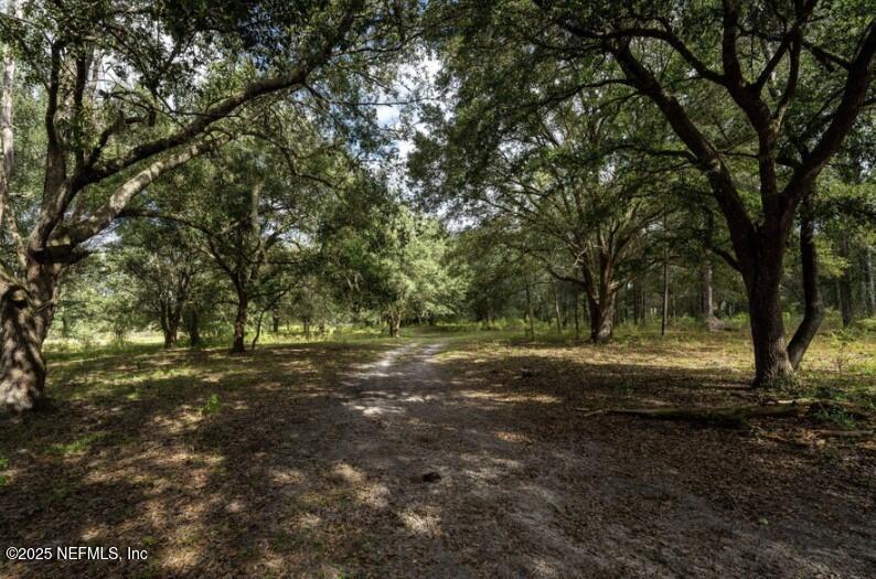 6769 Sandsdale Road Glen St. Mary, FL 32040 - Photo 4 of 31 a fire hydrant in the middle of a field