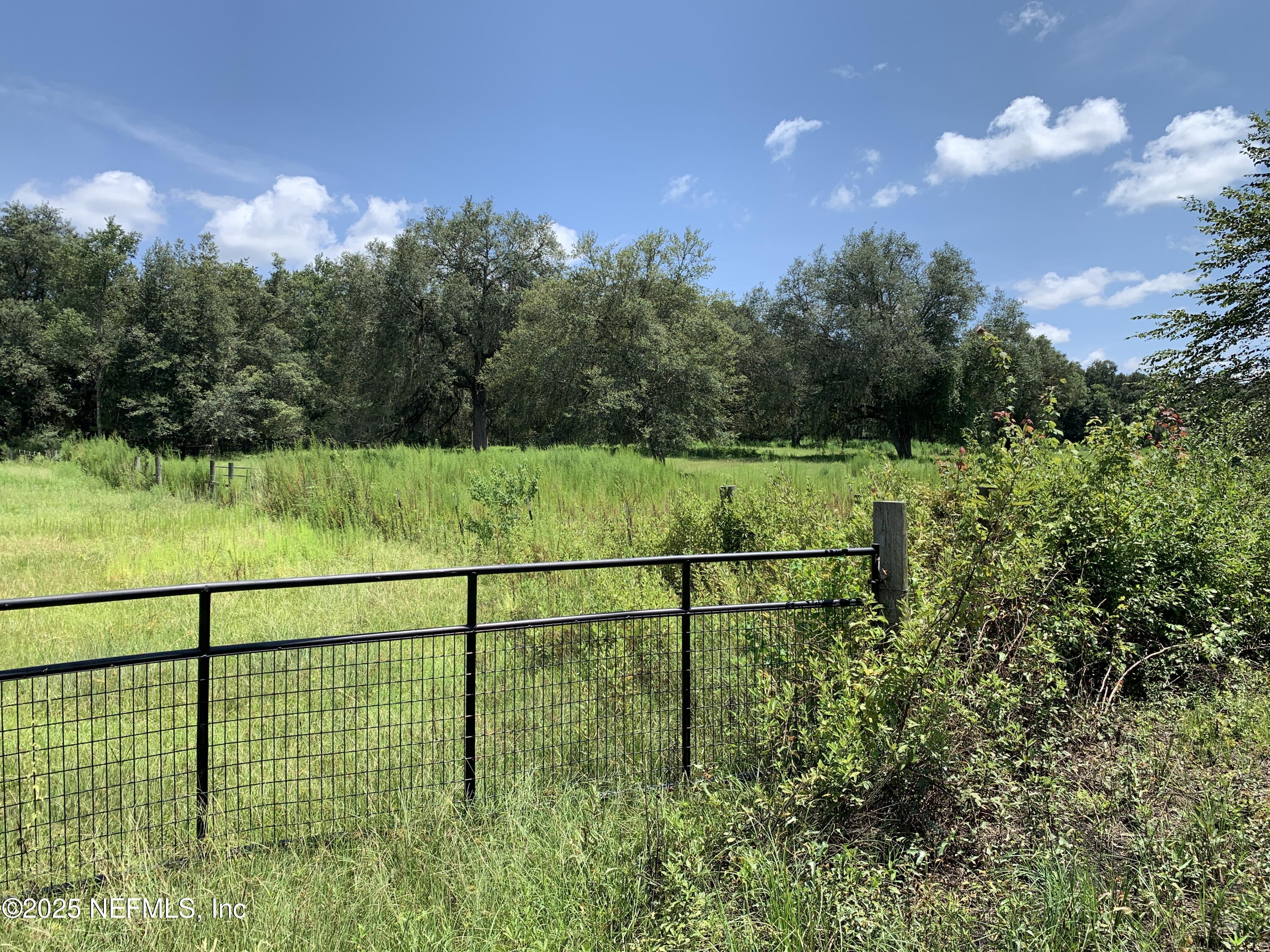 6769 Sandsdale Road Glen St. Mary, FL 32040 - Photo 5 of 31 a view of a field