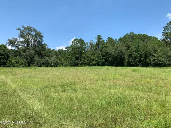 a view of a garden and basketball court