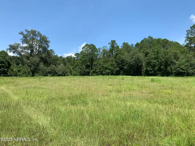 a view of a garden and basketball court