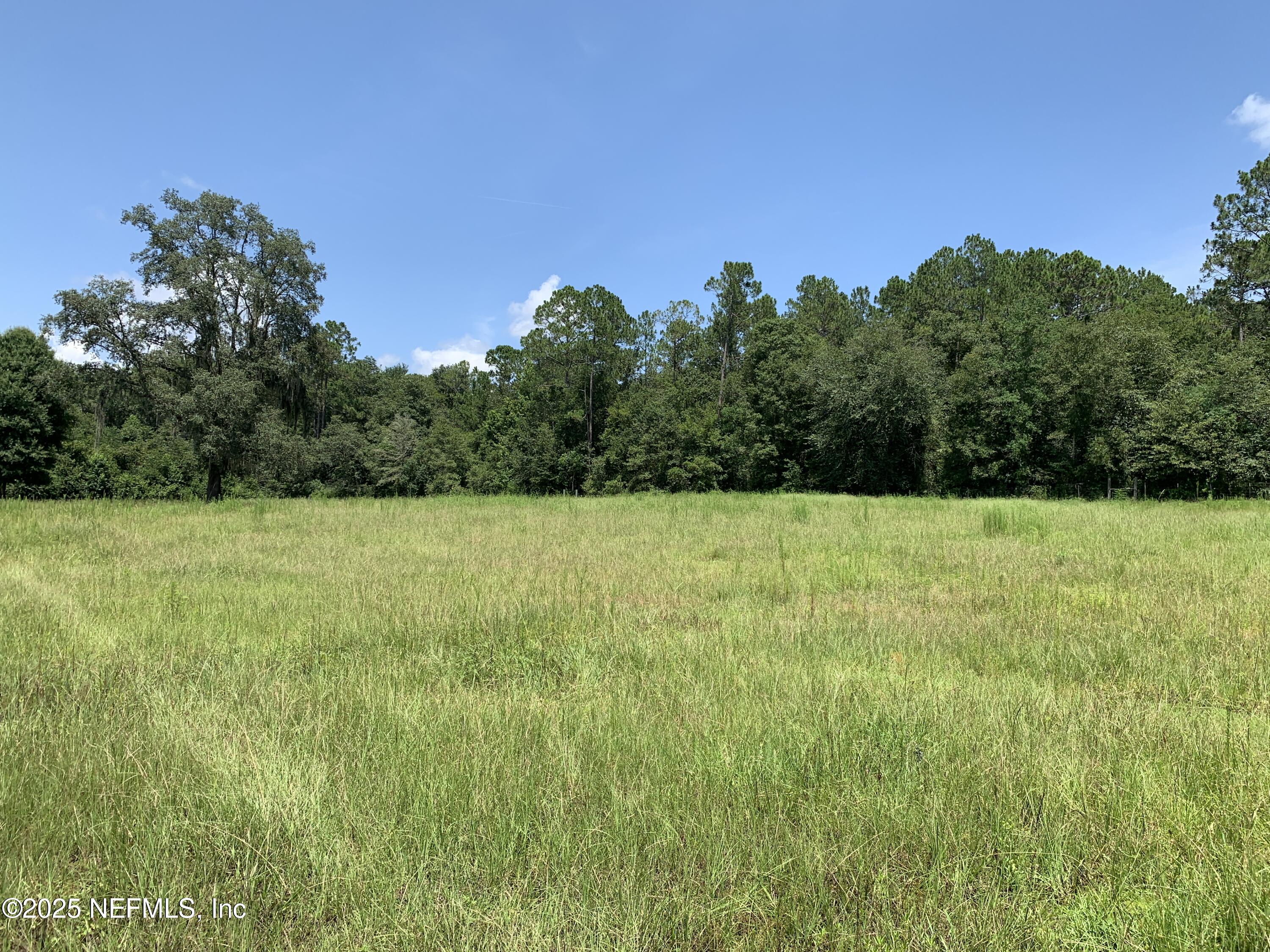 6769 Sandsdale Road Glen St. Mary, FL 32040 - Photo 7 of 31 a view of a garden and basketball court