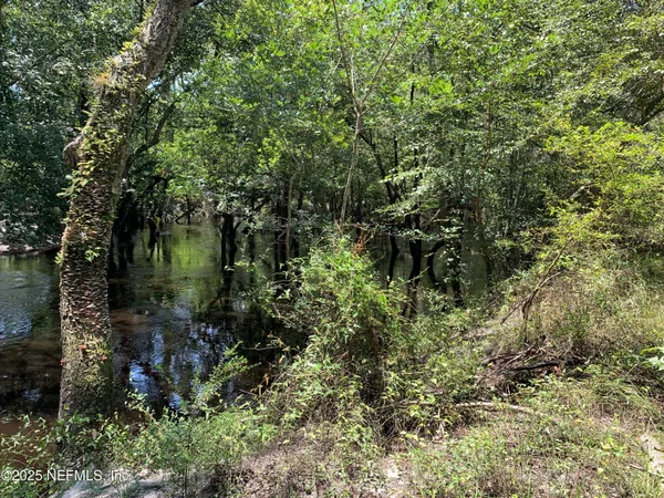 a view of a garden with plants