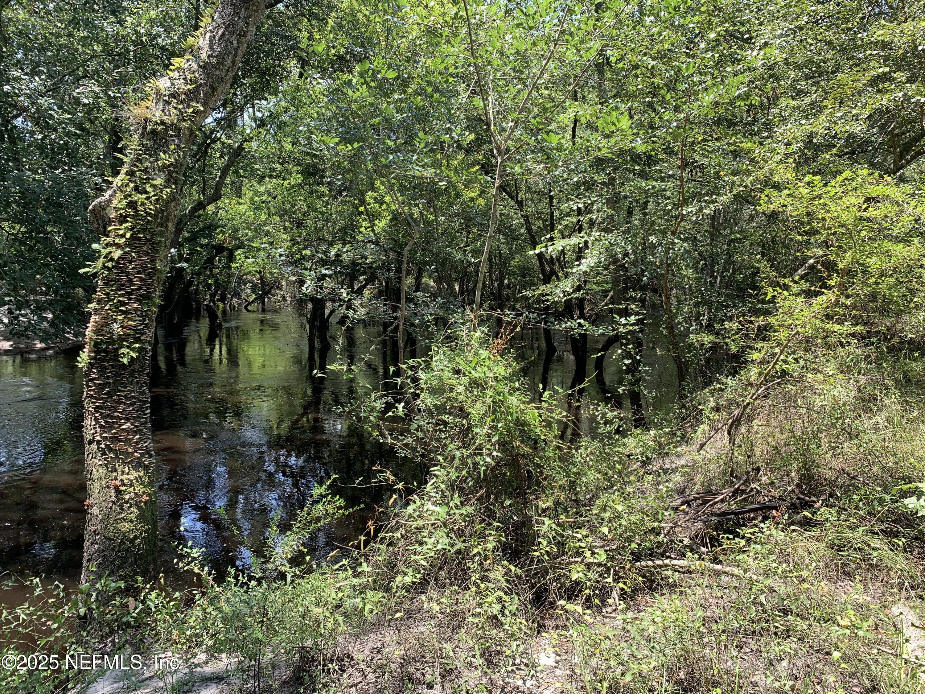 6769 Sandsdale Road Glen St. Mary, FL 32040 - Photo 8 of 31 a view of a garden with plants