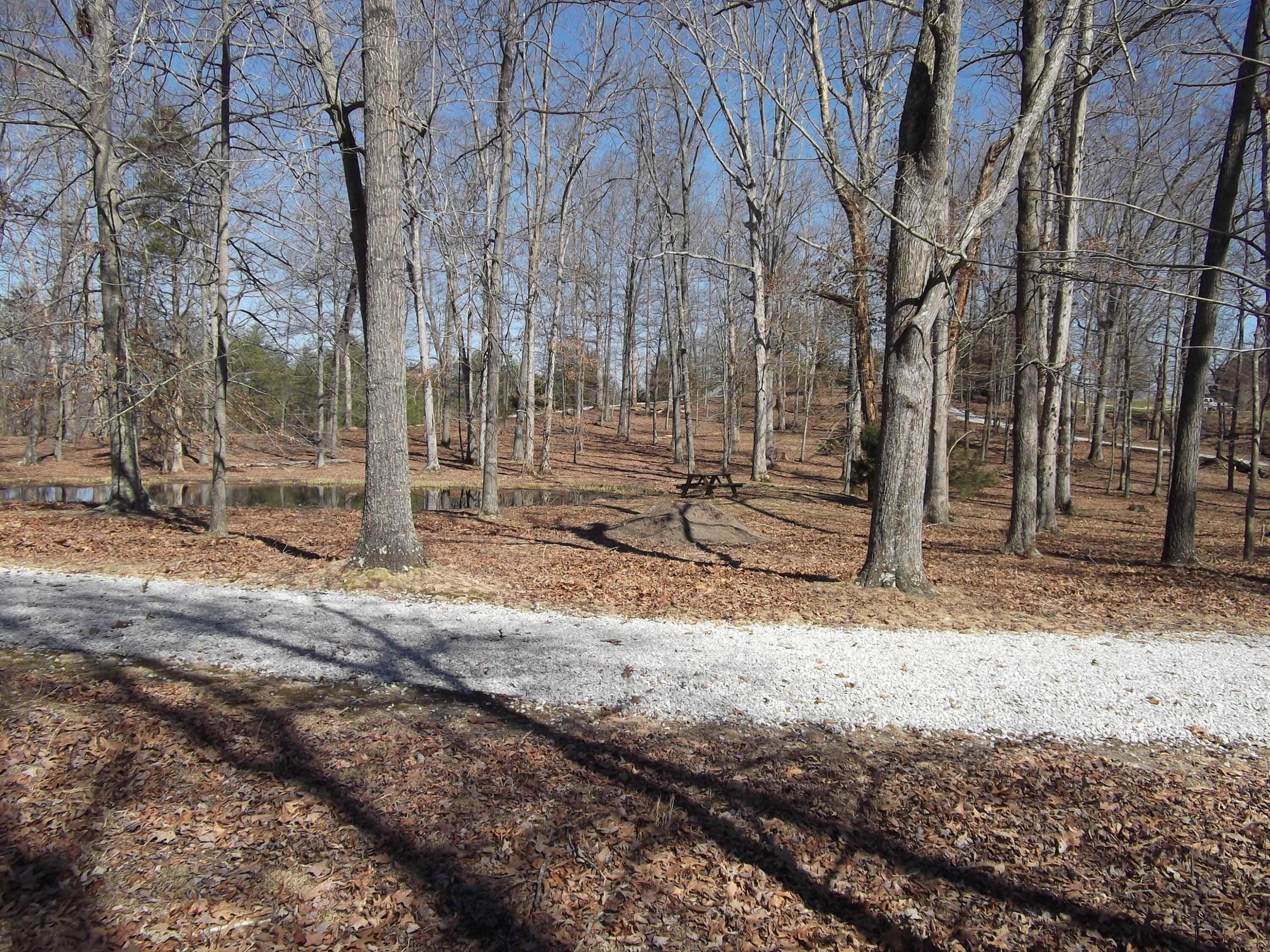 1943 Greenbriar Road Monticello, KY 42633 - Photo 18 of 24 DSCF0431