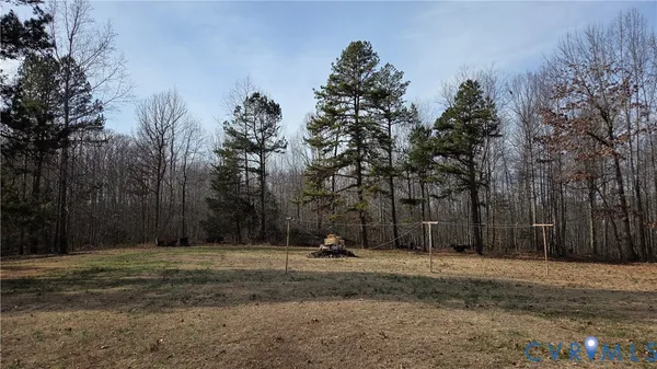 a park view with large trees