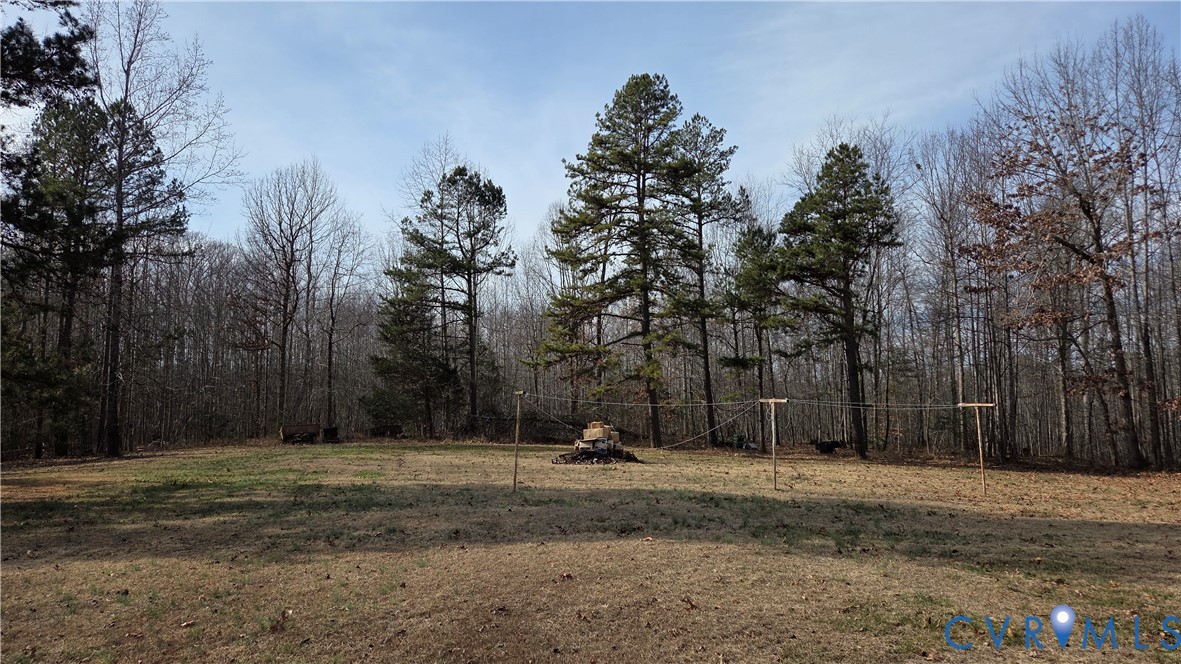 591 Byrd Mill Road Louisa, VA 23093 - Photo 3 of 13 a park view with large trees