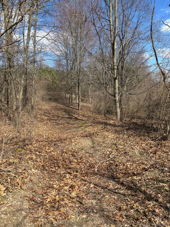 0 County Line Road Ortonville, MI 48462 - Photo 2 of 18