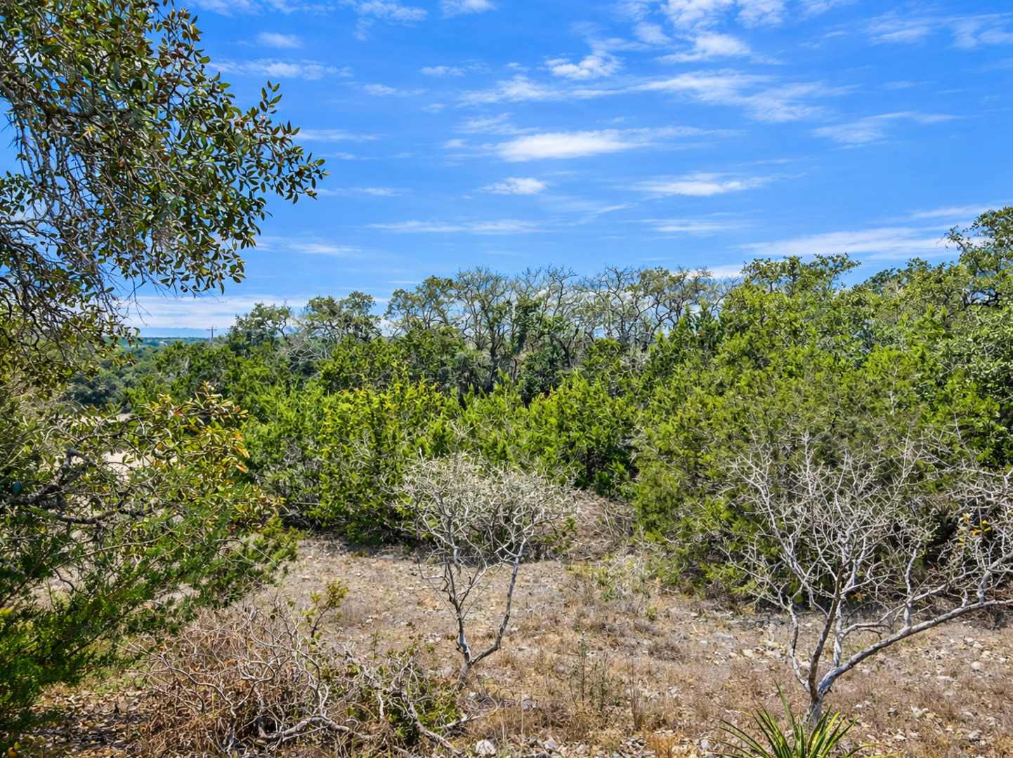210 Coneflower Drive Spring Branch, TX 78070 - Photo 3 of 5 a view of a large yard with lots of green space