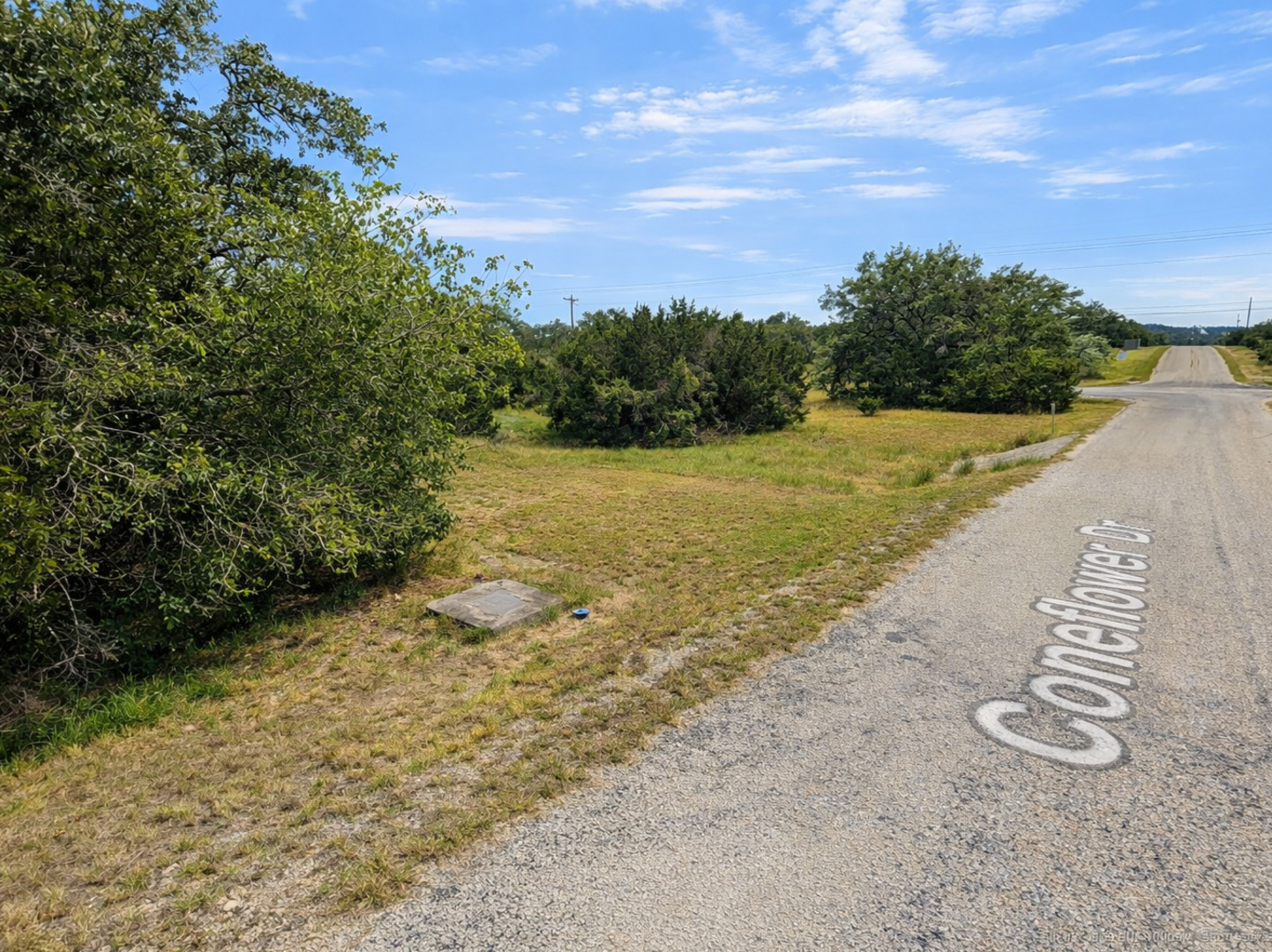 210 Coneflower Drive Spring Branch, TX 78070 - Photo 4 of 5 a view of a lake with beach