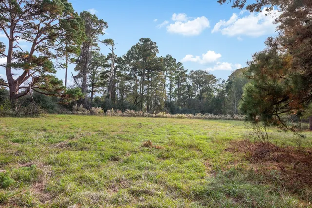 a view of outdoor space and yard
