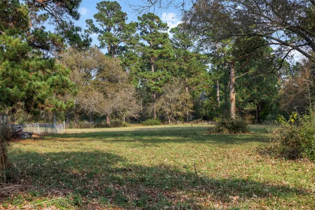 a view of a forest with trees in the background