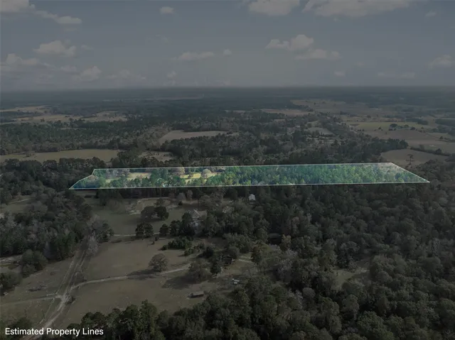 a view of a forest with a forest