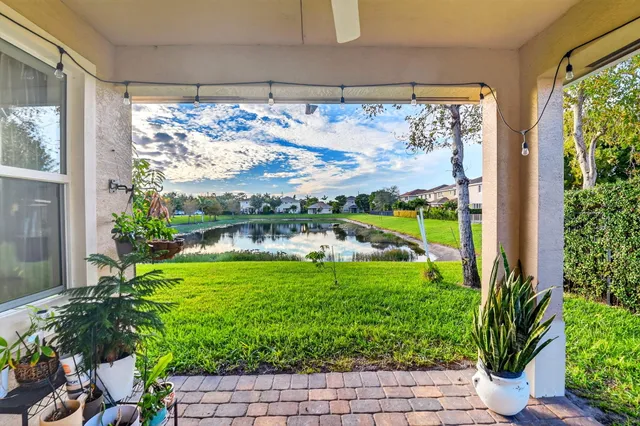 a view of a garden with a large tree