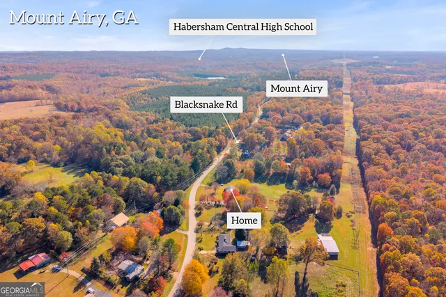$360,000 | 2207 Blacksnake Road, Mount Airy, GA 30563