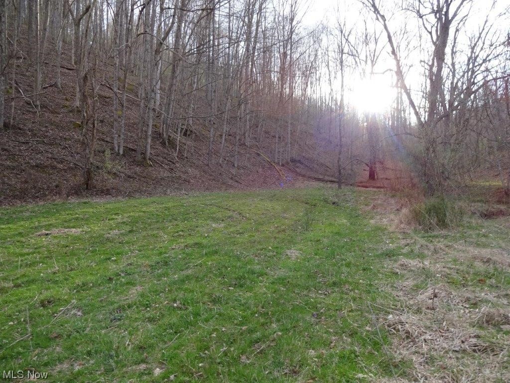 0 Triplett Road Spencer, WV 25276 - Photo 19 of 34