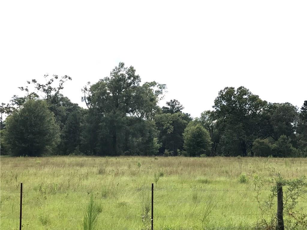 Marcantel Road Dequincy, LA 70633 - Photo 3 of 7