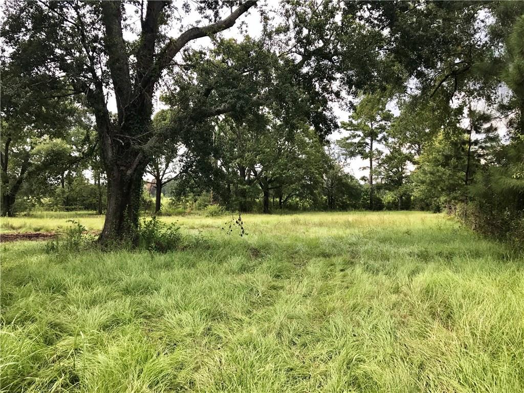 Marcantel Road Dequincy, LA 70633 - Photo 4 of 7