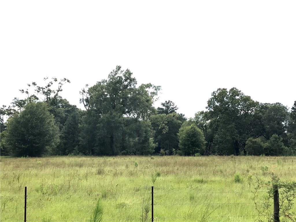 Marcantel Road Dequincy, LA 70633 - Photo 5 of 7