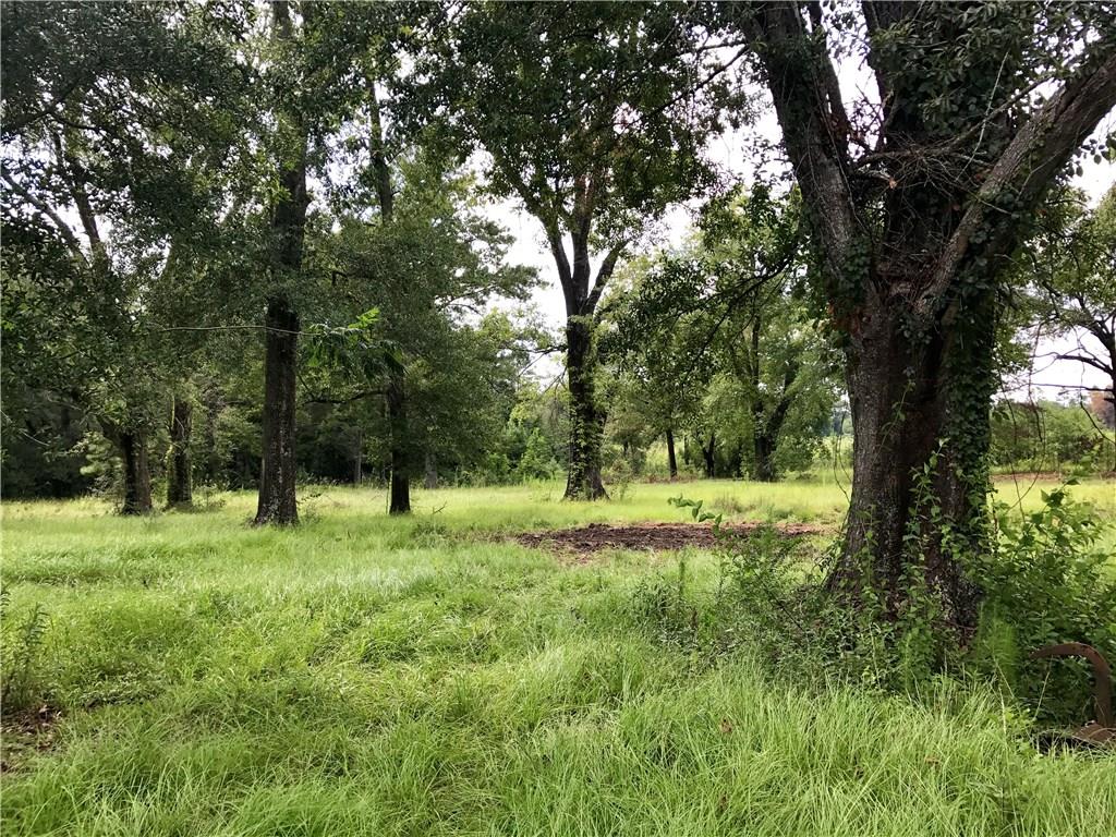 Marcantel Road Dequincy, LA 70633 - Photo 6 of 7
