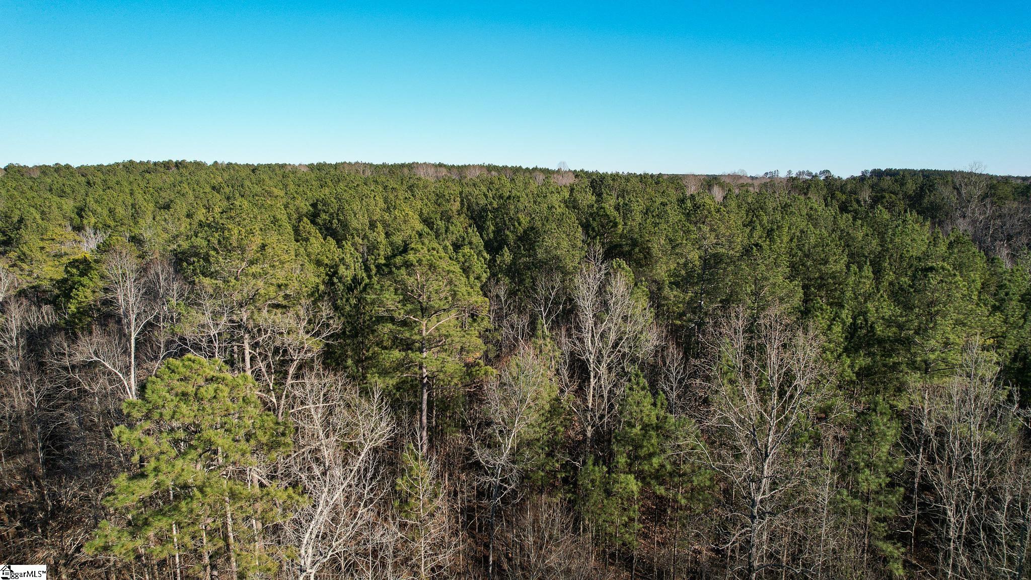 0 Elford Grove Road, Unit TRACT 3 Jonesville, SC 29353 - Photo 18 of 33 Gallery Image 18