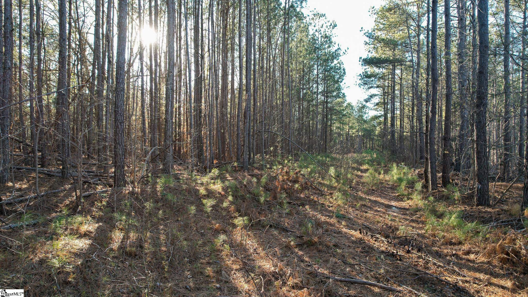 0 Elford Grove Road, Unit TRACT 3 Jonesville, SC 29353 - Photo 21 of 33 Gallery Image 21