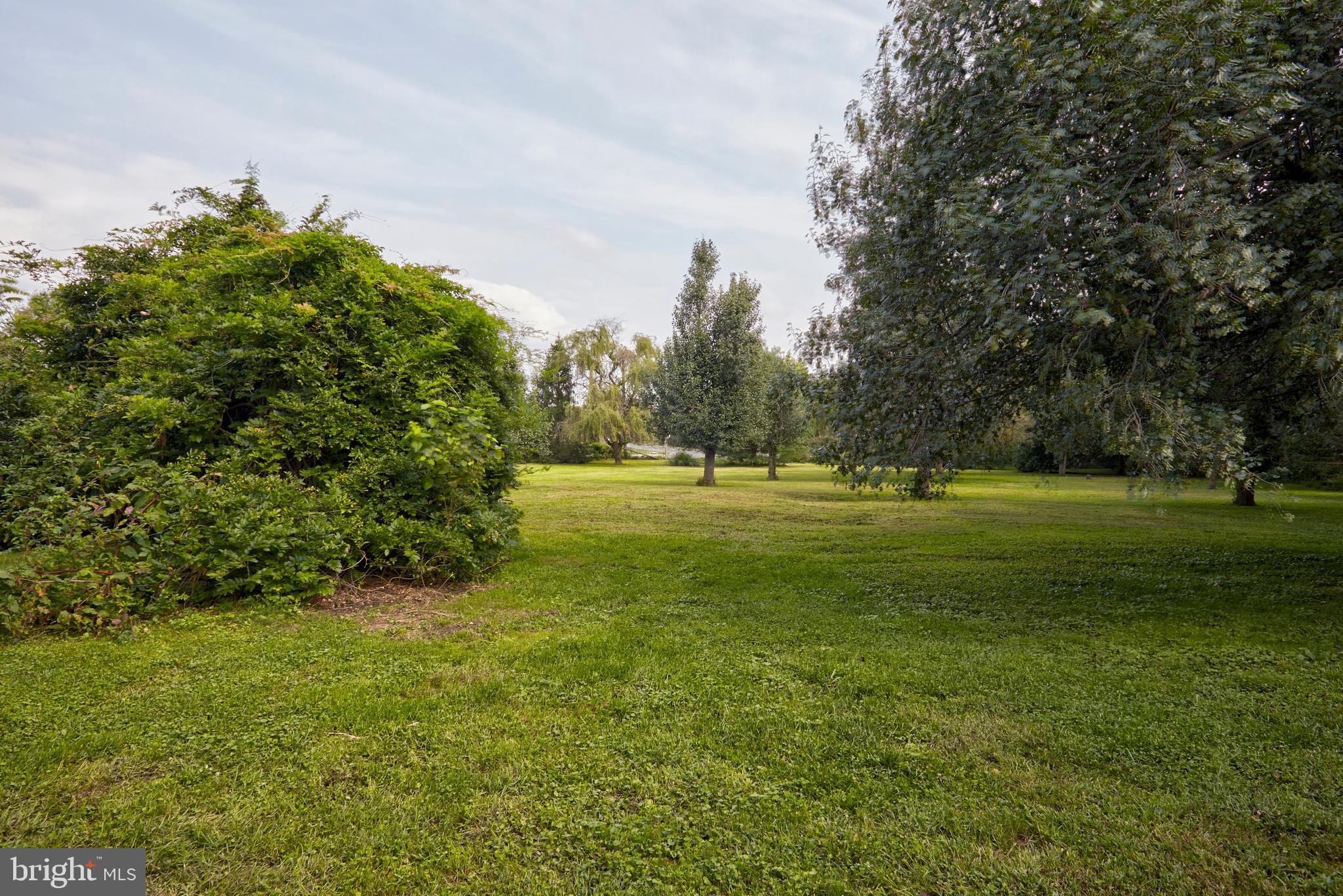 908 North Island Road Columbus, NJ 08022 - Photo 5 of 15 Back Yard