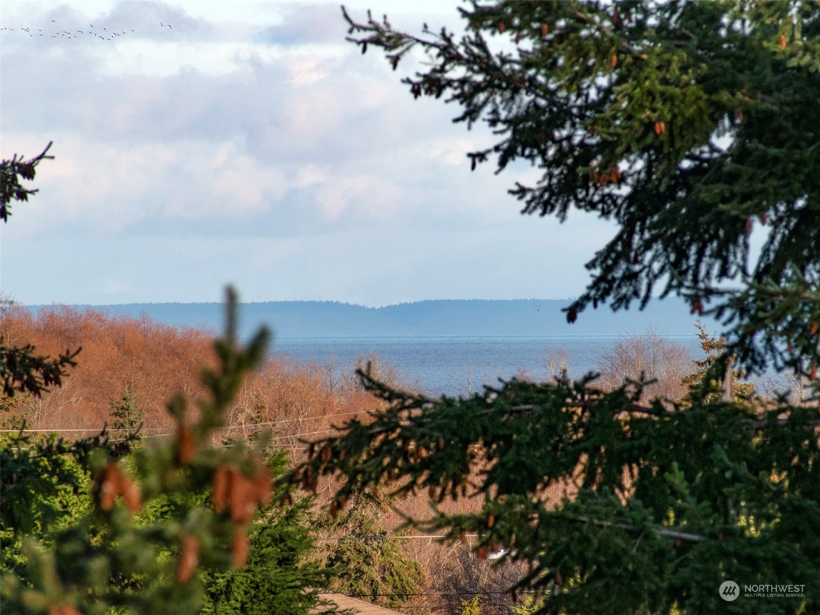 201 Brigadoon Boulevard Sequim, WA 98382 - Photo 8 of 35 a view of a city