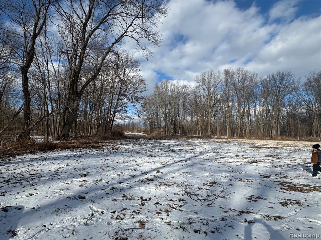 1 Remer Road East China, MI 48054 - Photo 7 of 14