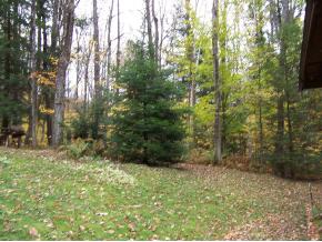 3615 Popple Dungeon Road Chester, VT 05143 - Photo 4 of 11
