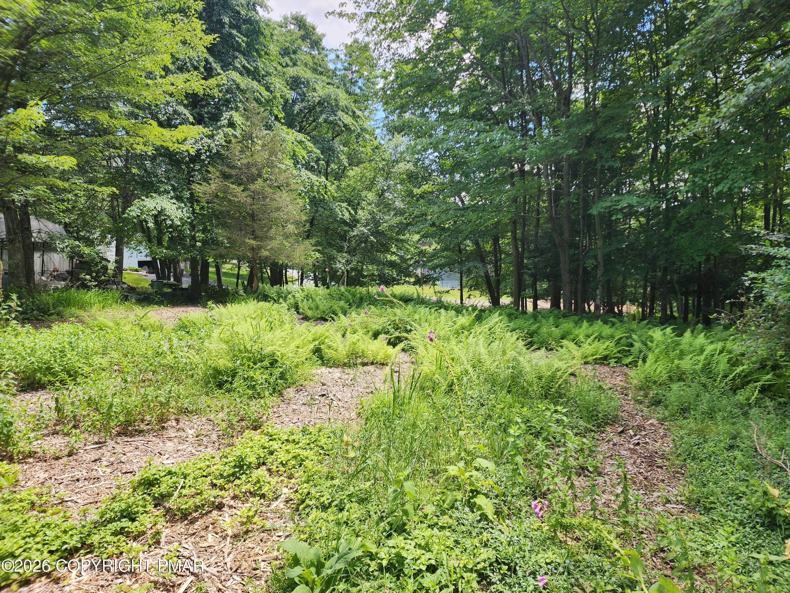 17 Laurel Lane Mount Pocono, PA 18344 - Photo 12 of 13 20240626_130505