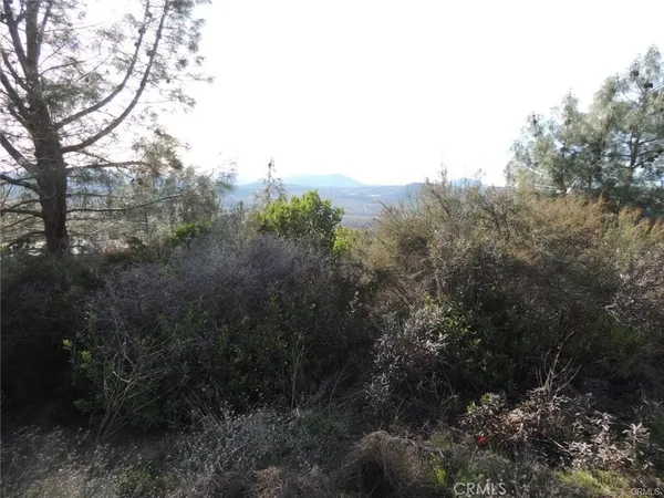 $25,000 | 15657 19th Avenue, Clearlake, CA 95422