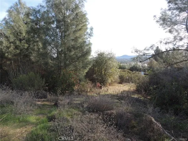 $25,000 | 15657 19th Avenue, Clearlake, CA 95422
