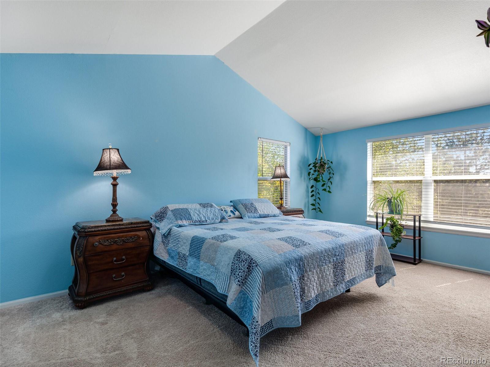 10118 Mountain Maple Court Highlands Ranch, CO 80129 - Photo 11 of 25