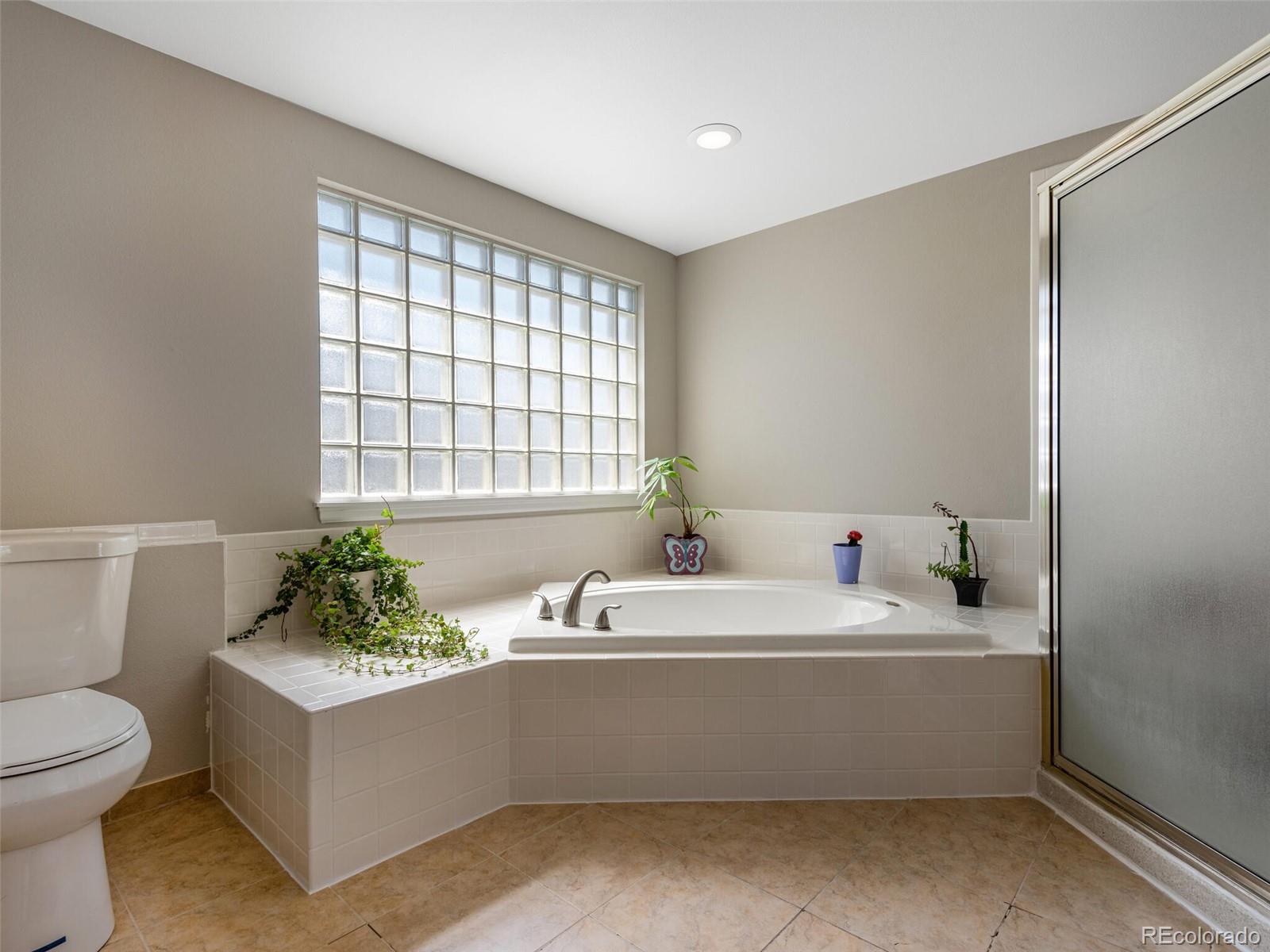 10118 Mountain Maple Court Highlands Ranch, CO 80129 - Photo 13 of 25